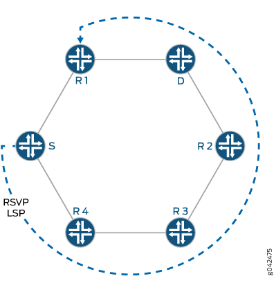 Network topology diagram showing RSVP-TE LSP path from source router S to destination router D via routers R1, R2, R3, and R4.