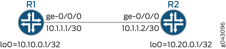 Network topology with two routers, R1 and R2, connected via a point-to-point link. R1 has IP 10.1.1.1/30, R2 has IP 10.1.1.2/30. Loopback IPs: R1 10.10.0.1/32, R2 10.20.0.1/32. Used for testing routing protocols.