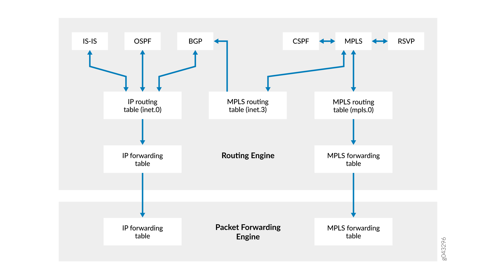 Flow of routing and forwarding in a network device using IP and MPLS, showing routing protocols, tables, and engine components.