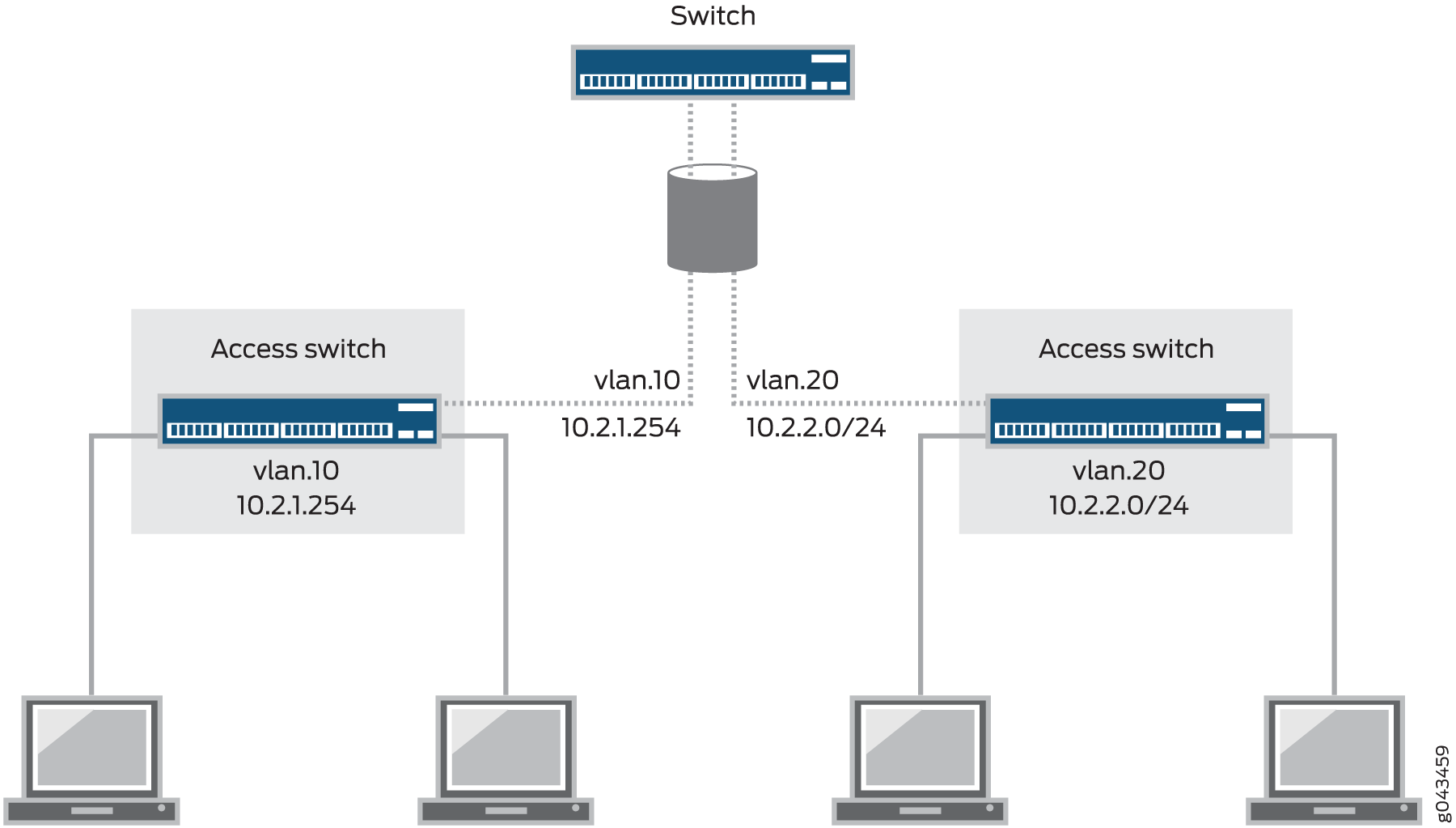 Network diagram with a central switch connected to a server, two access switches for VLAN 10 and VLAN 20, and four computers.
