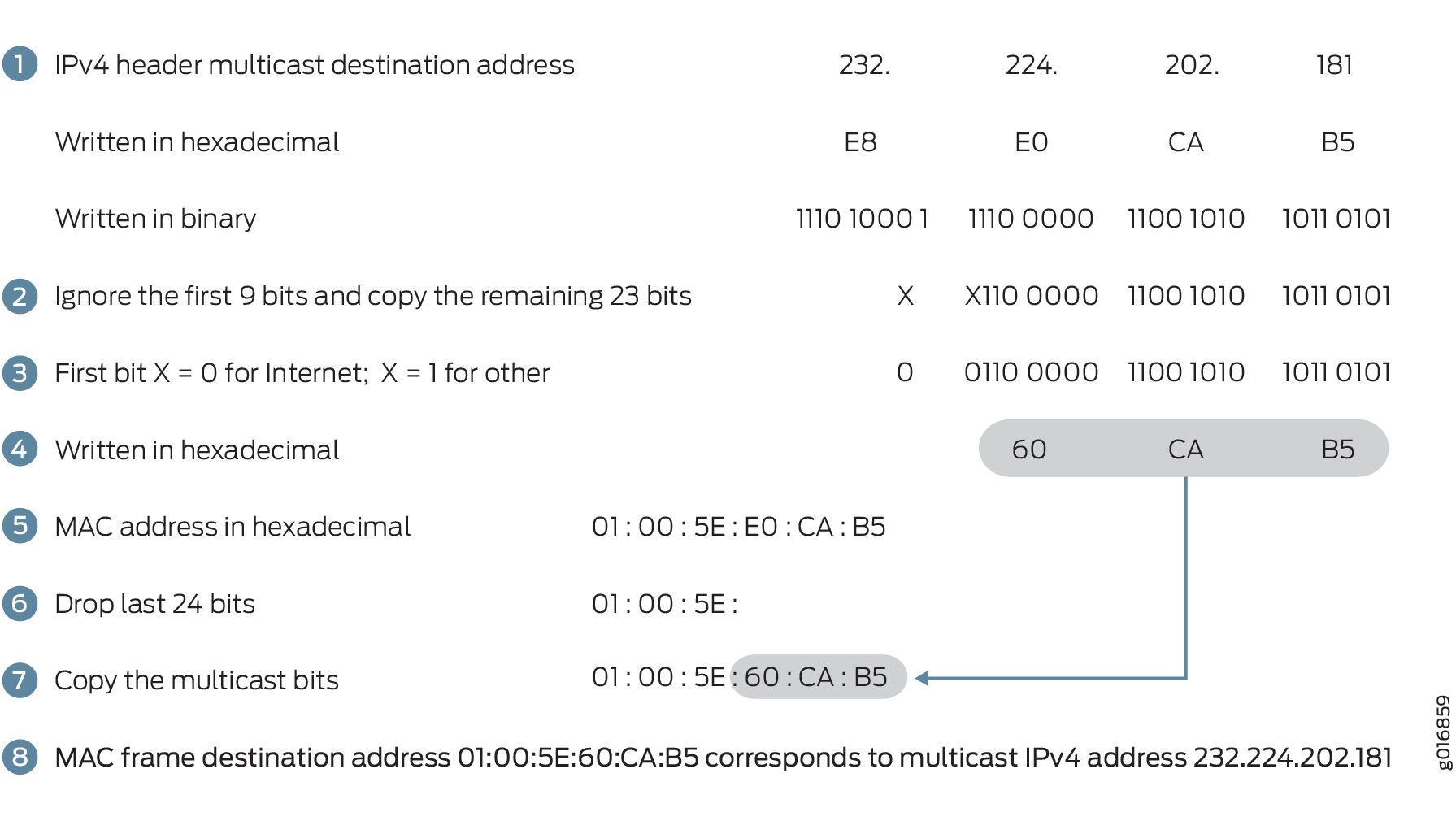 Converting MAC Addresses to Multicast Addresses
