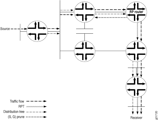 RP Router Sends a PIM Prune Message to the Source DR