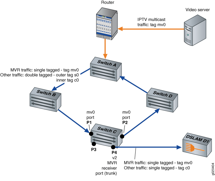 MVR Topology in Transparent Mode