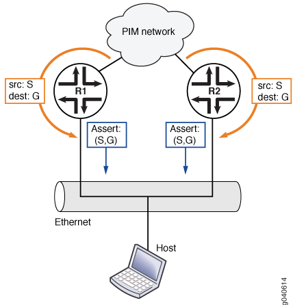 PIM Assert Topology
