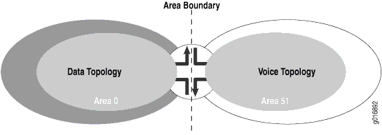 Network topology diagram showing Data Topology Area 0 and Voice Topology Area 51 connected by a central boundary router for communication.