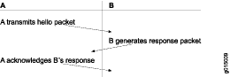 OSPF Three-Way Handshake