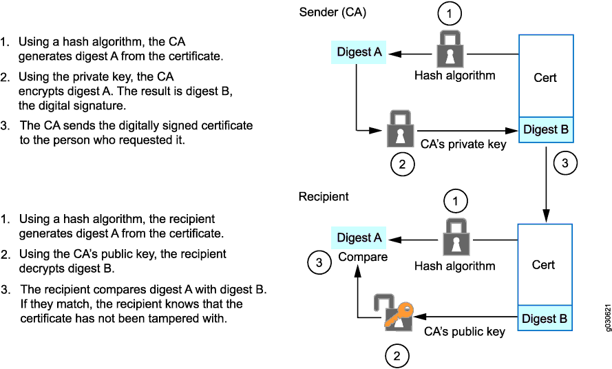 Digitally signed certificate process with PKI: CA generates hash, encrypts it with private key, sends certificate with signature. Recipient verifies by comparing hashes.