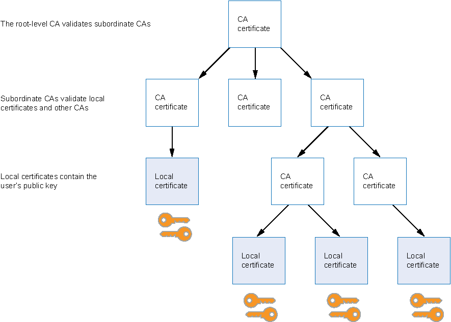 Hierarchical structure showing CA certificates above local certificates with associated private keys, illustrating PKI relationships.