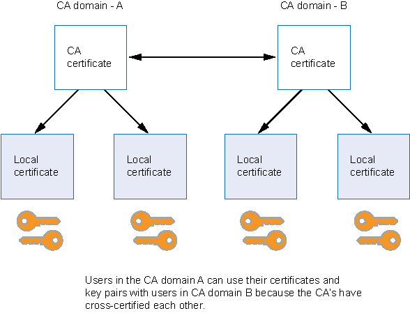 Diagram illustrating digital certificates and keys in cryptography with CA and local certificates linked to keys for secure communication.