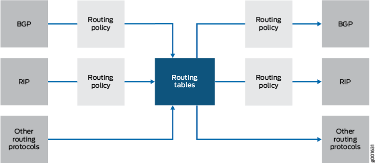 Conceptual diagram showing interaction between routing protocols, policies, and tables. Inputs from BGP, RIP, others. Policies manage flow to and from routing tables.