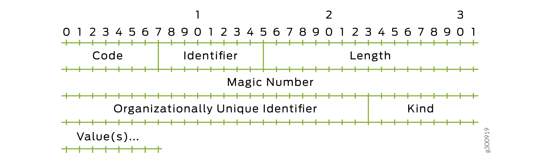 Diagram of TLV encoded data structure with fields Code, Identifier, Length, Magic Number, OUI, Kind, and Values, showing bit positions.