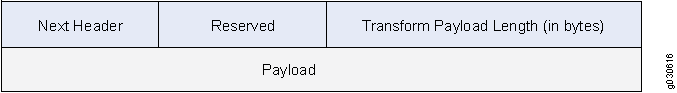 Diagram of a data structure with fields: Next Header specifying the next protocol type, Reserved field typically set to zero, Transform Payload Length in bytes, and Payload containing transmitted data.