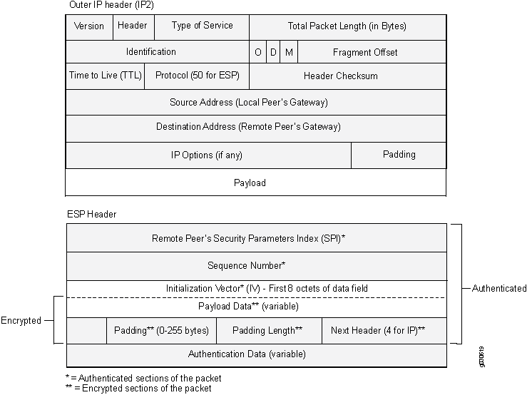 Structure of an IPsec packet using ESP protocol, showing outer IP header for routing, ESP header with security parameters, encrypted section containing payload data and padding, and authentication data for integrity.