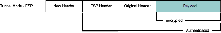 Structure of an Encapsulating Security Payload ESP packet in tunnel mode, part of the IPsec protocol suite for securing network communications.