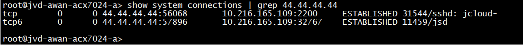 gNMI and Outbound SSH Connectivity Output from AN4 CLI