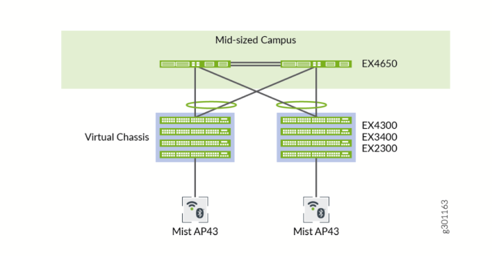 A Typical Virtual Chassis Setup