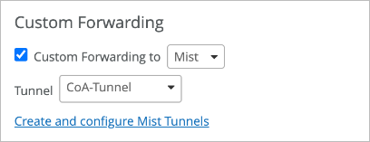Custom Forwarding for Organization-Level Mist Edge