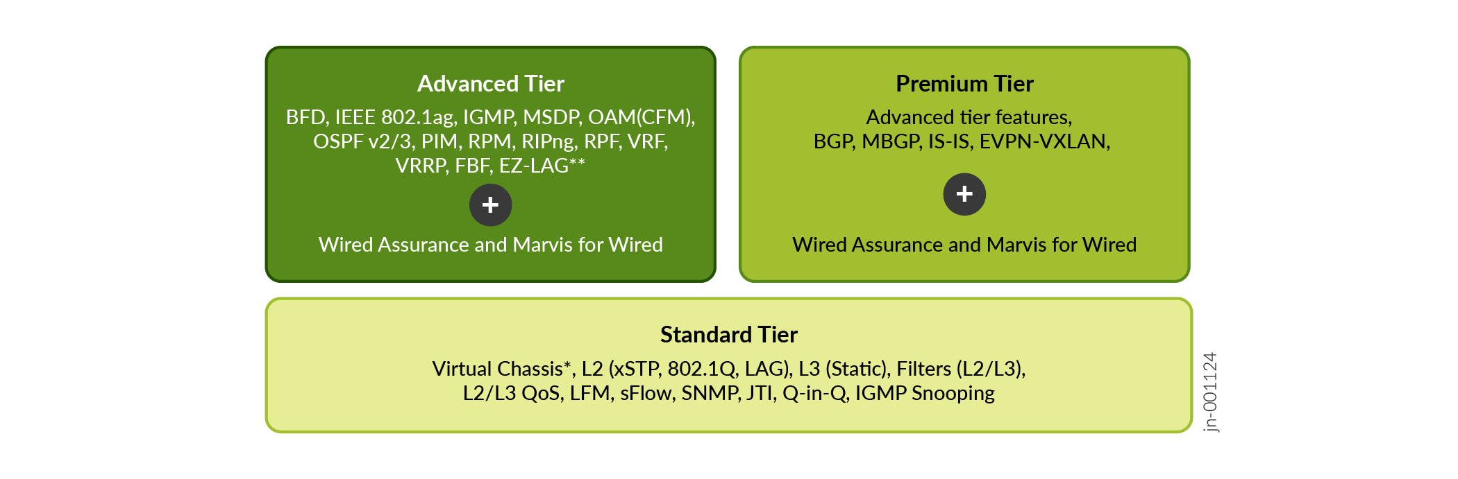 Tiered structure of networking features and services: Standard Tier with basic features, Advanced Tier with enhanced capabilities, Premium Tier with advanced functionality and EVPN-VXLAN.