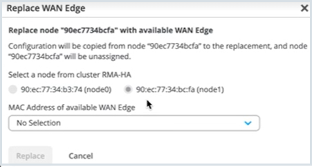 Replace WAN Edge with Another Device