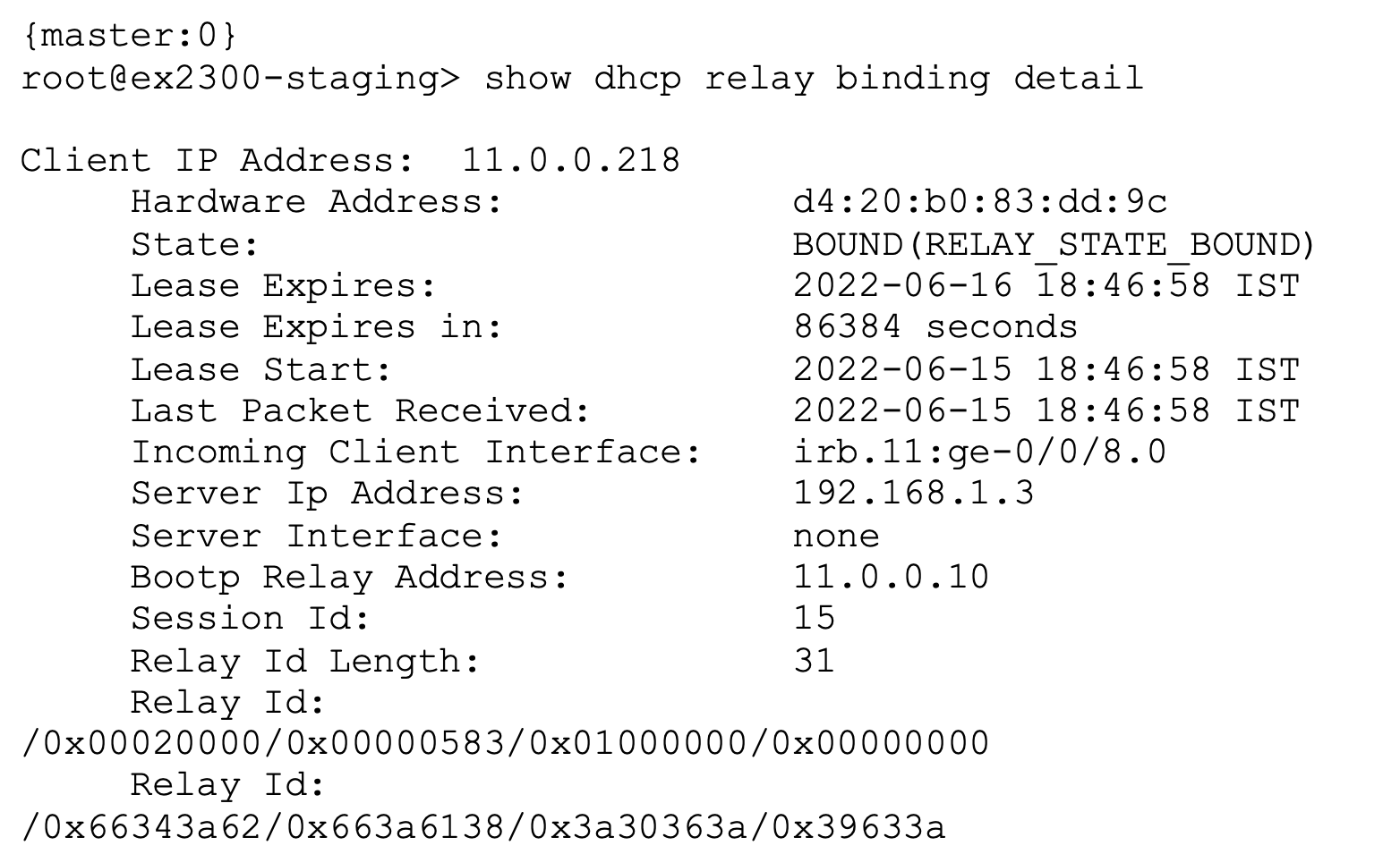 Output of the command show dhcp relay binding detail on a Juniper device showing details like client IP 11.0.0.218, MAC address d4:20:b0:83:dd:9c, lease state bound, expiration time 2022-06-16 18:46:58 IST, incoming interface irb.11:ge-0/0/8.0, DHCP server IP 192.168.1.3, relay address 11.0.0.10, and session ID 15.