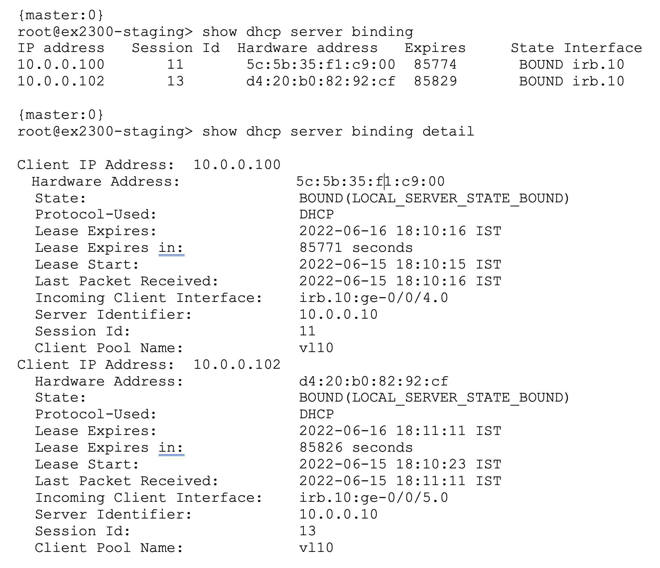 DHCP server bindings showing two client IPs, MAC addresses, lease states, expiration times, interfaces, and detailed lease information for troubleshooting.
