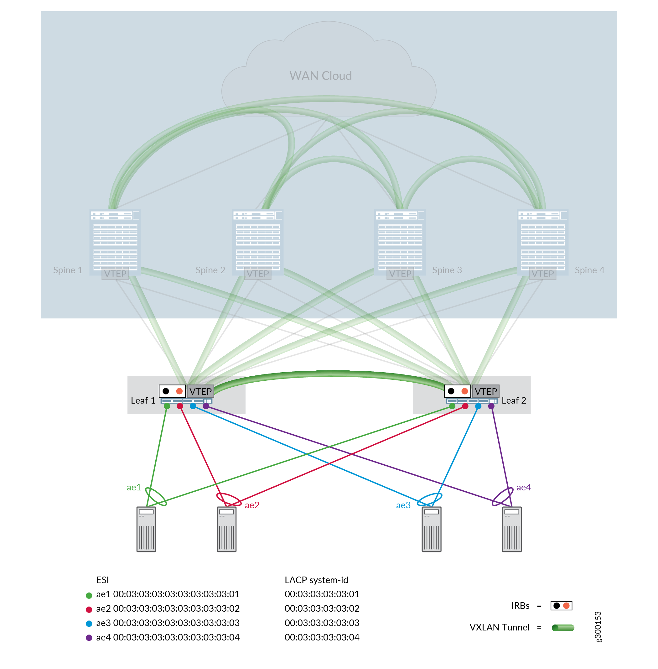 EVPN LAGs in ERB Architecture