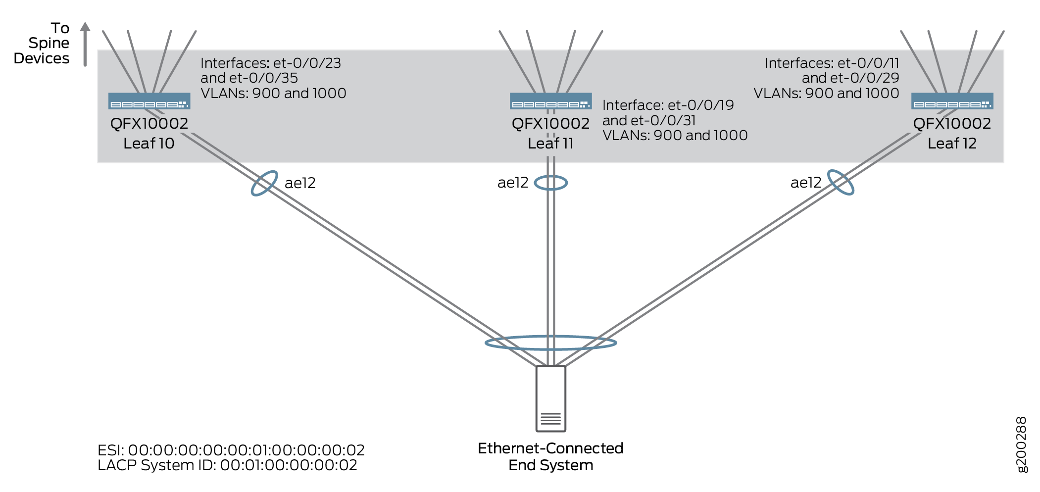 ESI Topology for Leaf 10, Leaf 11, and Leaf 12