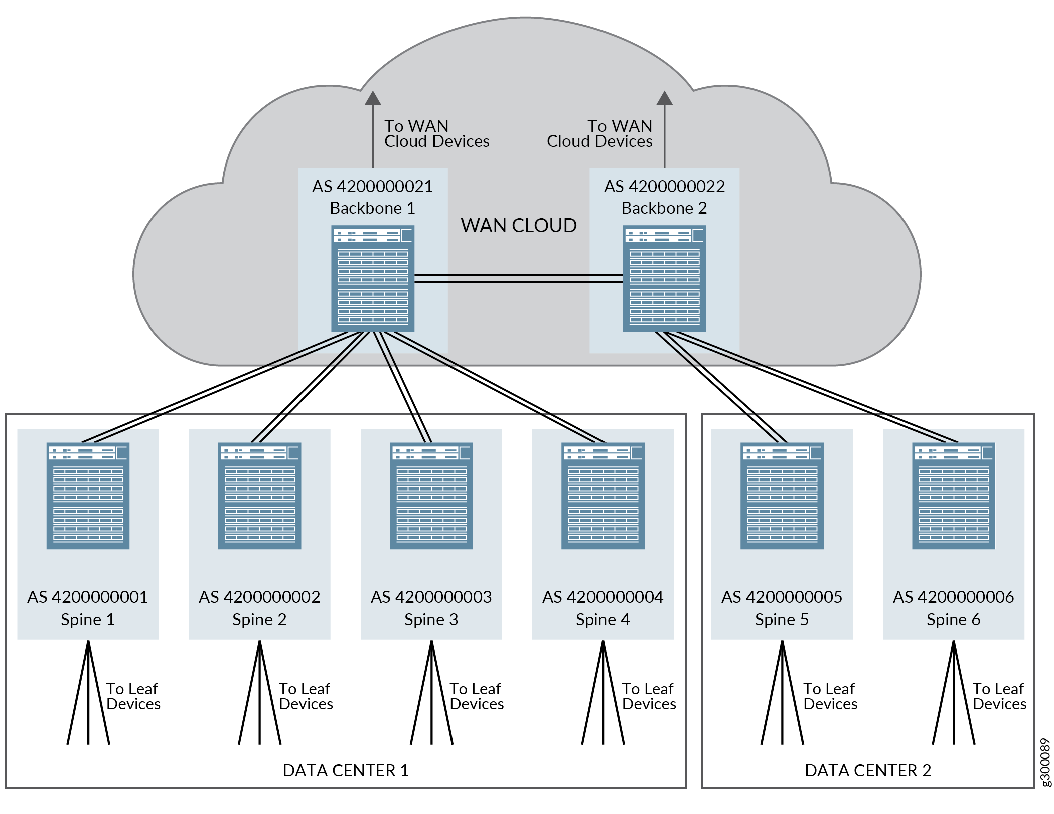 EBGP Topology with Backbone Devices