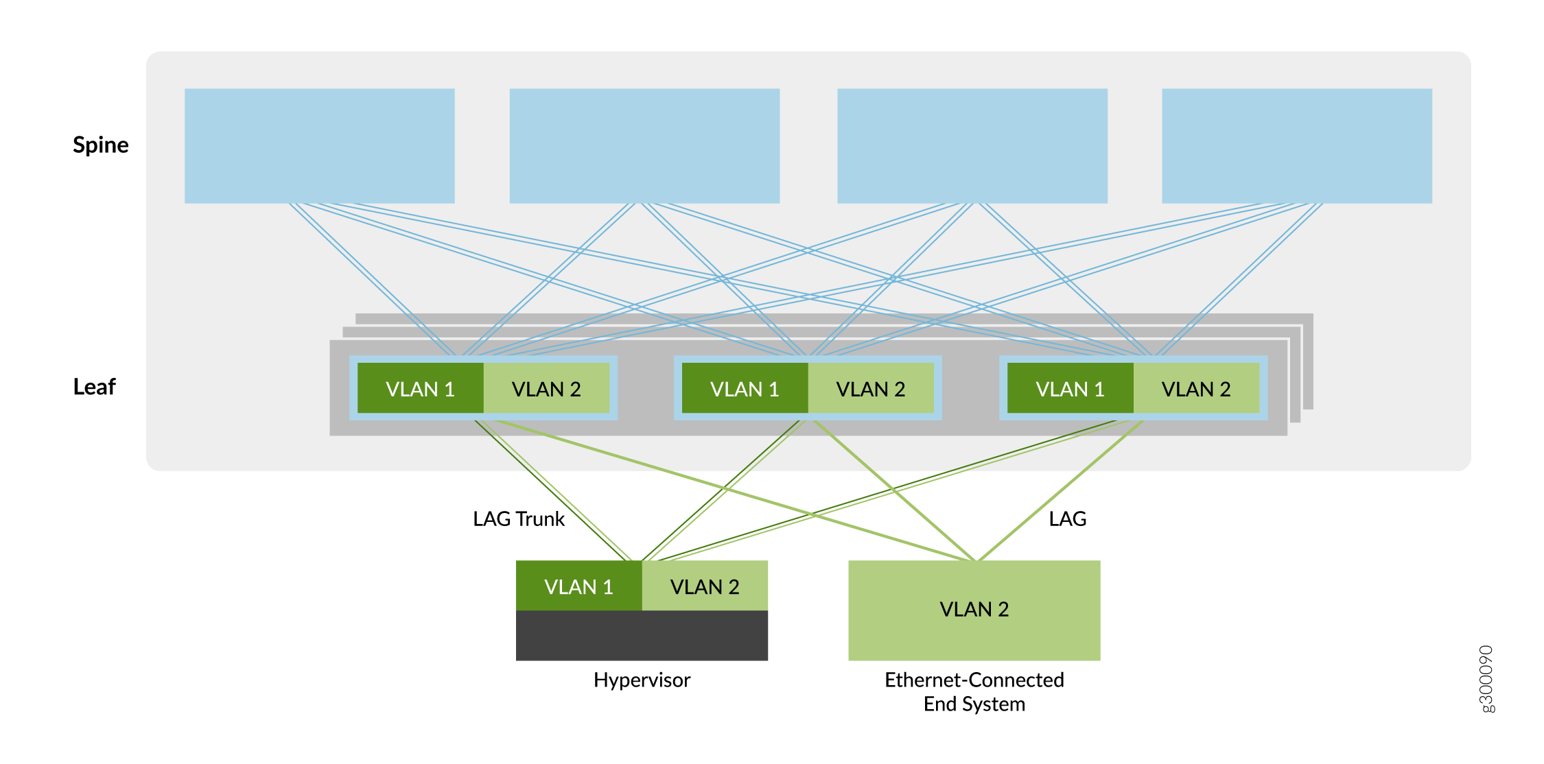 Bridged Overlay
