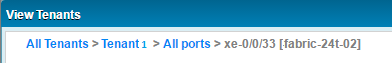 View Tenants navigation path: All Tenants > Tenant 1 > All ports > xe-0/0/33 [fabric-24t-02]