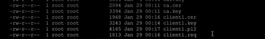 Terminal showing ls -l command output. Lists cryptographic files: ca.cer, ca.key, client1.cer, client1.key, client1.p12, client1.req. Files owned by root user and group.