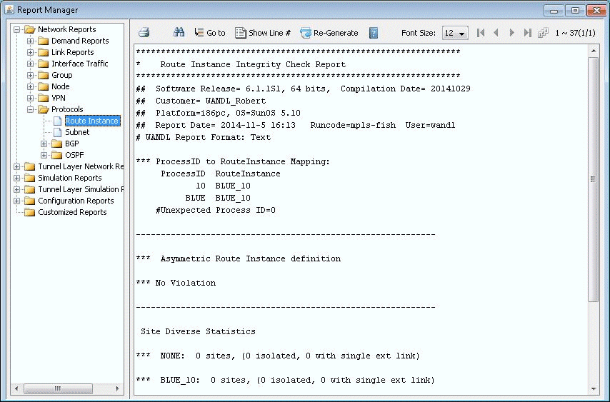 Report Manager interface showing Route Instance Integrity Check Report for BLUE_10. No violations in asymmetric routes.