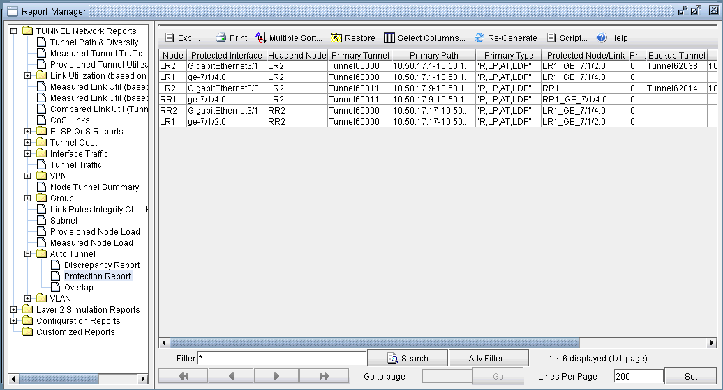 Report Manager interface for network management, showing a hierarchical menu of report categories and a table with details on network tunnels, nodes, and paths.