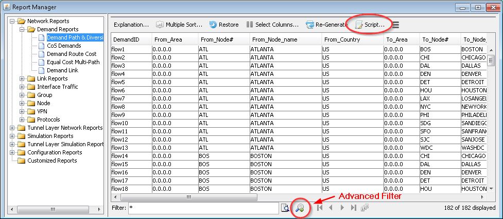 Report Manager interface for managing network reports with a tree structure for report selection and a data table showing report details. Features include a Script Button for automation and an Advanced Filter for data refinement.
