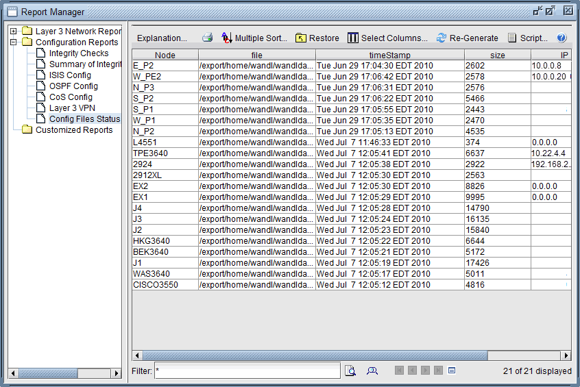 Report Manager interface showing network configuration report. Navigation pane lists report categories. Detailed view displays nodes with file path, timestamp, size, and IP.