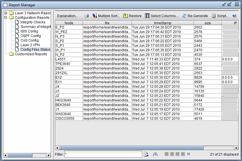Report Manager interface with tree view of report categories on the left and table view of configuration file details on the right.
