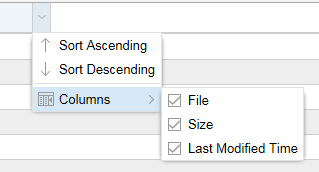 Dropdown menu with options to sort data ascending or descending and customize columns including File, Size, and Last Modified Time.
