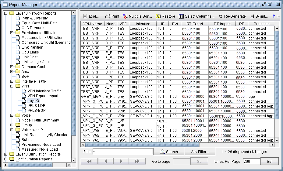 Software interface for network management showing a tree menu with network report categories and a table of VPN configuration details.