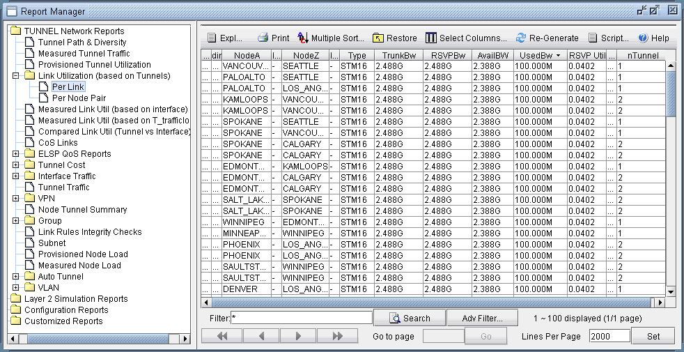 Software interface for network management, showing Report Manager section with report categories and network link details like NodeA, NodeZ, and bandwidth usage.