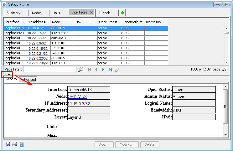 Network management interface showing Loopback918 with IP 10.19.0.3/32 on node OPTIMUS, status active, bandwidth 8.0G. Tabs: Summary, Nodes, Links, Interfaces, Tunnels.