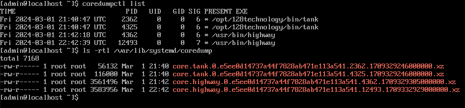 System Crash Coredump