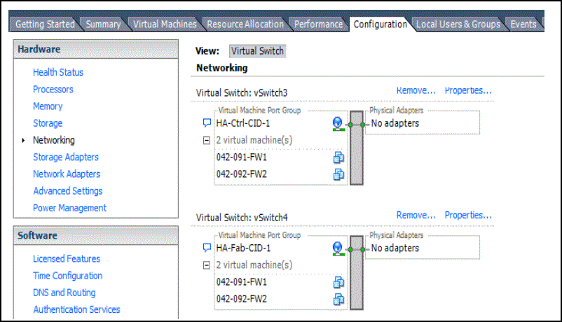 Fabric Interface Connected Through the Fabric vSwitch